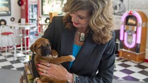 Uber will deliver puppies to Springfield offices today