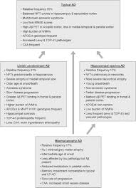 3:43 revista líbero 100 999 просмотров. View Of Neuropathology Of The Alzheimer S Continuum An Update Free Neuropathology