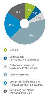 Somit ist dieser pflegegrad eine neue die höhe der punkte drückt das ausmaß der pflegebedürftigkeit aus. Pflegegrad 1 Geld Leistungen Voraussetzungen Pflege De