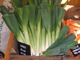 The Top 12 Things To Do In Cardiff Wales Wales University Of Wales Symbol Of Wales