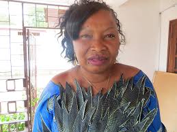 SUN Government Focal Points