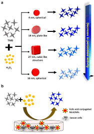 Lung cancer symptoms on stage 4 before death. Nanotechnology Based Therapeutic Application In Cancer Diagnosis And Therapy Springerlink
