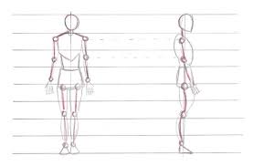 Illustrata di john raynes in offerta a prezzi imbattibili su mondadori store. L Anatomia Disegnamo