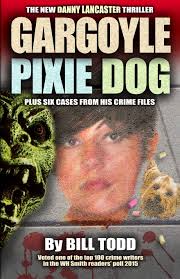 Gargoyle Pixie Dog: Volume 5 (Danny Lancaster): Amazon.co.uk: Todd, Bill:  9781514759493: Books