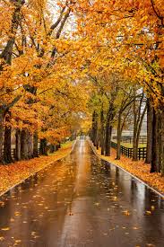Cool places in lexington ky this online map shows the detailed scheme of lexington streets, including major full list of kentucky maps. Plan A Fall Road Trip To Lexington Kentucky Southern Living