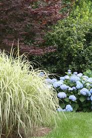 Maybe you would like to learn more about one of these? Nature By Design Nature By Design Home
