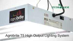 Product title hydrofarm t5 tube designer grow light system (4 bulb. Hydrofarm Agrobrite T5 Fluorescent Grow Light Review All Sizes Grow Light Info