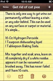 Urine Out Of Carpet Without Staining Or Smell House Cleaning Tips Cleaning Hacks Cat Urine Smells