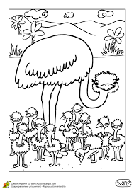 page 4 sur 12 hugolescargot com coloriage famille oiseaux a colorier de fraise gratuit