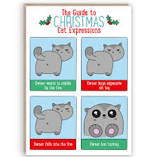The lang squeaky christmas card is the featured image at the top of the post. Cat Expressions Christmas Card Sugar Sloth