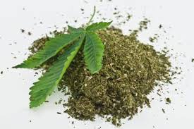 Tujuan mengajukan kpr atas nama orang lain. Kontroversi Penggunaan Ganja Untuk Medis