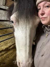 Working Equitation Clinic with Morgan horse at Cavvietta Quarter Horse &  Cattle Co in Elm City, NC