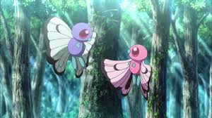 Video: Ash's Butterfree protects female Shiny Butterfree from menacing  Fearow in Pokémon the Movie I Choose You for Valentine's Day | Pokémon Blog