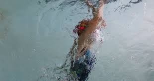 Tout Sur Alberaquatic Cc Alberes Cote Vermeille Illiberis