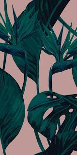 Desktop Birds Of Paradise Wallpaper Bird Of Paradise Blush Home Deco Bird Blush Bold Print Wallpaper Bedroom Paradise In 2020 Leaves Wallpaper Iphone Minimalist Wallpaper Tropical Wallpaper