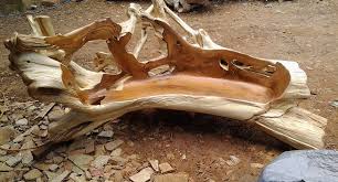 Bench 3m Solid Wood Order Email Jerry Gallery Yahoo Com Wood Wood Design Solid Wood