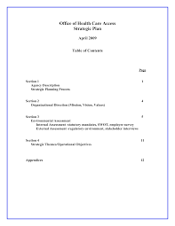 Health Care Strategic Plan How To Create A Health Care Strategic Plan Download This Health Care Strategic Plan Temp Strategic Planning How To Plan Templates