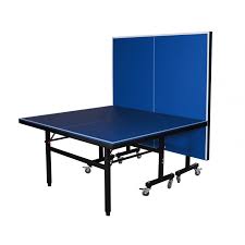 De ce gazonul artificial este alegerea potrivită dacă ai copii. Masa Tenis Exterior Interior Total Sport Palete Si Mingi Trambulinesparta Ro