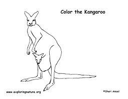 Members have access to 600+ printable crafts. Kangaroo Coloring Page