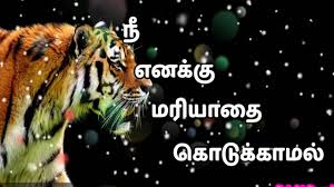 Attitude Quotes Attitude Caption Video In Tamil Self Respect Whatsapp Status Bright Board Youtube