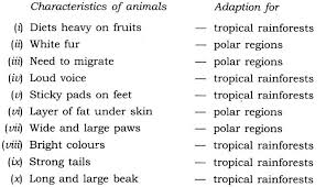 Animal adaptation describes all the ways that animals know how to survive in their habitat. Ncert Solutions For Class 7 Science Chapter 7 Weather Climate And Adaptations Of Animals To Climate