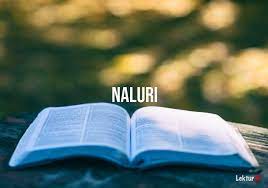 Găseşte toate sinonimele şi antonimele lui onorat în acest dictionar explicativ al limbii române. 10 Sinonim Kata Naluri Di Tesaurus Bahasa Indonesia Lektur Id