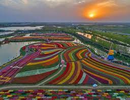 Qui dit pays bas dit horticulture: Les Champs De Tulipes Aux Pays Bas Hollande