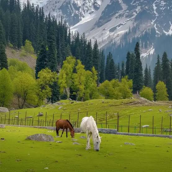Mountain scenery