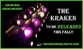 Pin On Wicked Grow Lights Cob Led Based Units