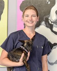 City Appoints New Animal Care And Control Director And Veterinarian Boston Gov