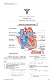 Cardiovascular Nursing Cardiovascular Nursing Cardiovascular System Nursing School Notes