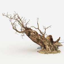 Irish immigrants brought the tradition to america, home of the pumpkin, and it. Dry Tree 04 3d Model Dry Tree Tree Tank Ideas