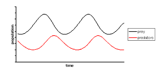 Positive And Negative Feedback Loops In Biology