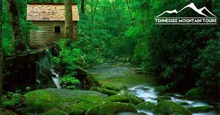 Maybe you would like to learn more about one of these? Tennessee Mountain Tours Guided Tours Of The Smoky Mountains