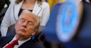 Trump's Second Term Is Giving Major 'Sleepy Season' Energy