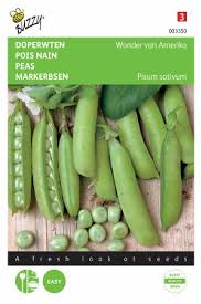 They are nature's candy off the vine. American Wonder Low Green Peas Garden Peas Seeds Tuinzaden Eu