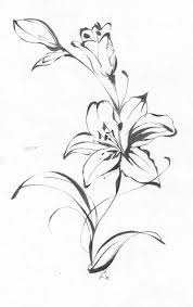 Black And White Lily Tattoo Men 40 Inspirational Creative Tattoo Ideas For Men And Women Lily Flower Tattoos Vine Tattoos Lilies Drawing