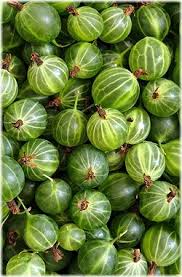 Gooseberries Groseilles A Maquereau Nuances De Vert Et Fruits Et Legumes