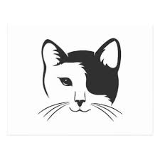 Black And White Cat Tattoo Black And White Cat Face Silhouette Postcard Zazzle Com In 2020 Cat Face Drawing Cat Drawing Cat Face Tattoos