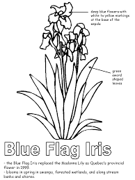 Find more coloring pages online for kids and adults of fleur de lys quebec coloring pages to print. Picture Of Canada Flag Coloring Home