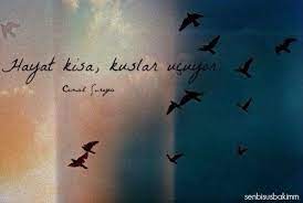 hayat kisa kuslar ucuyor cemal sureya motivasyon sozleri siir hayat