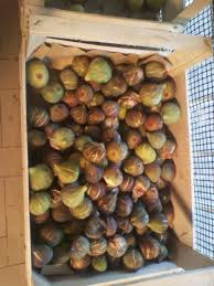My Diary Olive Di Gaeta E Altre Delizie Della Citta