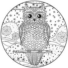 Mandala mit eule zentangle hand gezeichnete abstrakte eule holzofen holz ist eine kanzerartige substanz; Mandala Eule