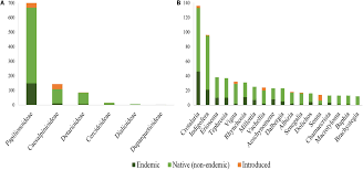 Image result for Crotalaria huillensis