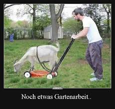 Pin Auf Lustiges