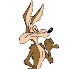 We did not find results for: Wile E Coyote Looney Tunes Wiki Fandom