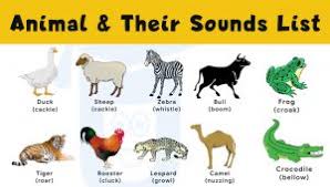 If no author is listed, use the word anonymous in place of the author name(s). Masculine And Feminine Gender Of Animals List Ultimate Gender List