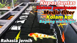 Air keruh, air bau amis, air hijau, air berbusa… kami solusinya, nikmati ikan anda… filter yang di desain secara khusus sehingga bebas perawatan tetapi tetap meberikan kejernihan dalam kolam kesayangan anda dengan harga yang tidak mahal. Filter Kolam Koi Jernih Sistem Filterasi Pemipaan Dan Media Filter Bagong Nishiki Goi Farm Youtube