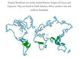 The Tropical Rainforest Ppt Download