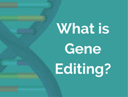 What Is Human Gene Editing Center For Genetics And Society